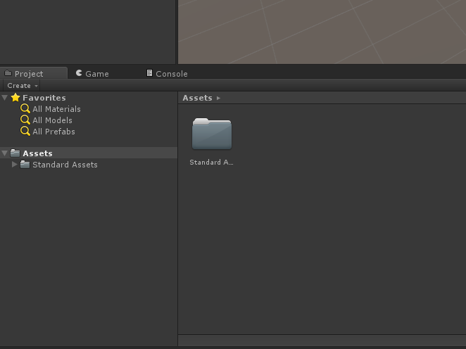 Project mostrando a pasta Standard Assets dentro de Assets